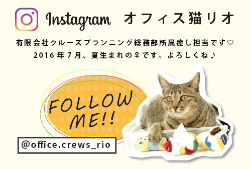 インスタはじめました